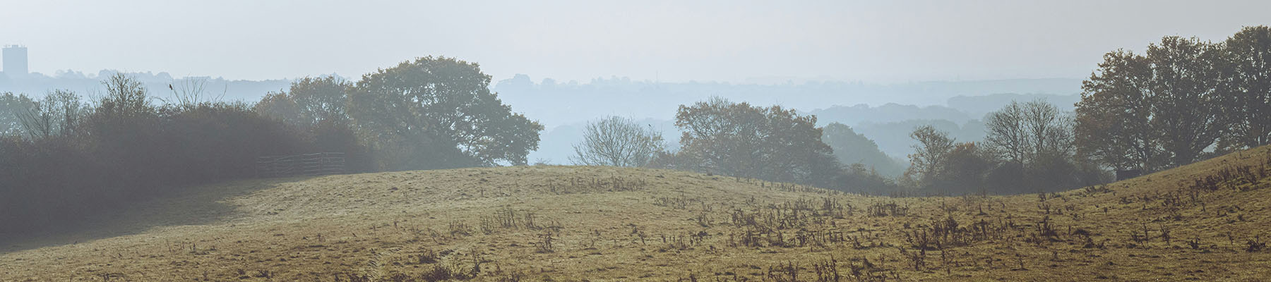 Misty hills and trees in Essex.