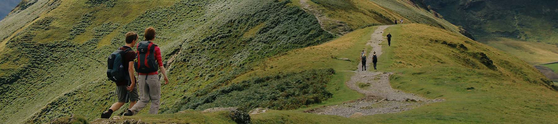 Walkers on a hillside path