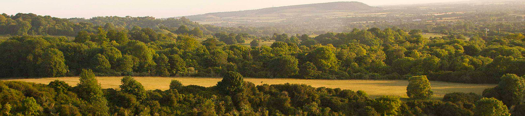 Area image