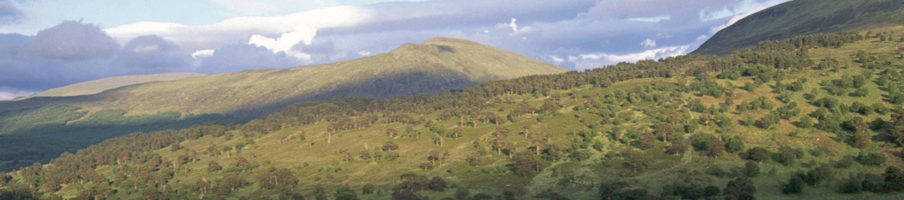 Area image