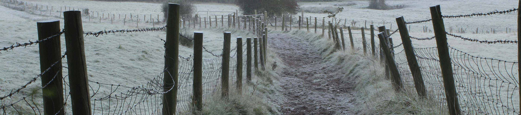Area image