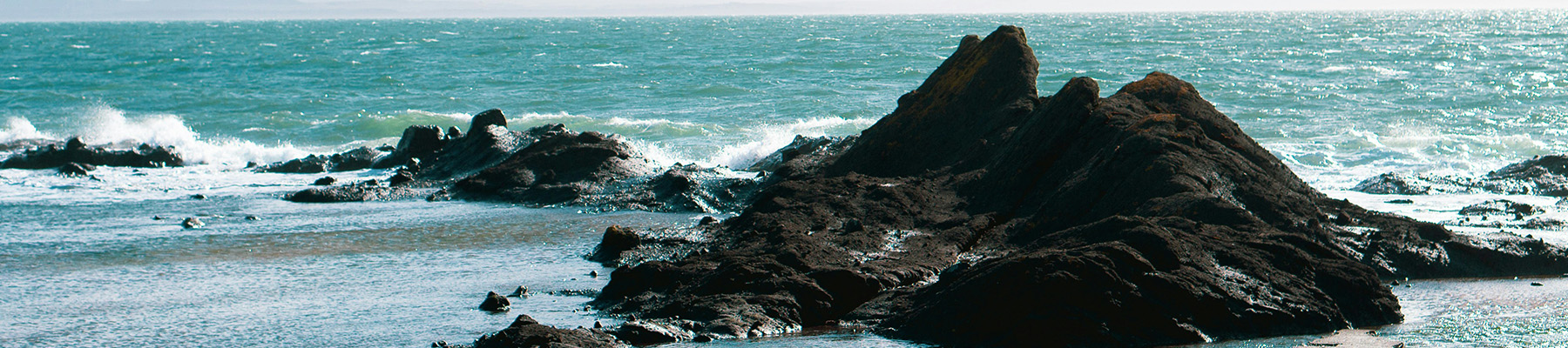 Area image