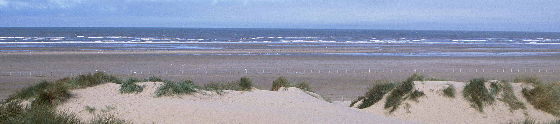 Area image
