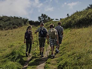 Group walking along a trail>