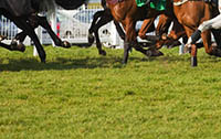 Horses running in a racecourse>
