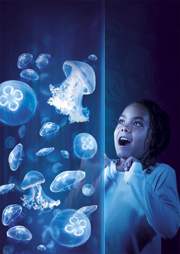 Scarborough Sea Life Sanctuary