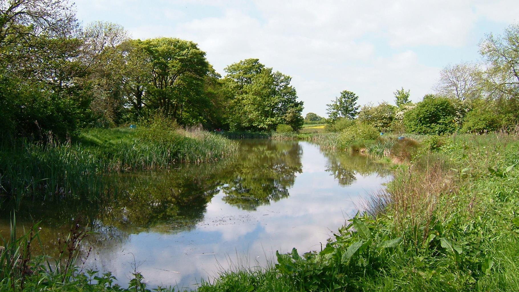 Otterington Park