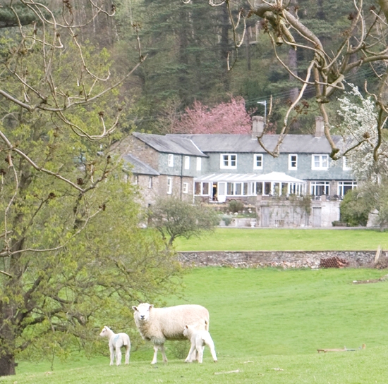 Ravenstone Lodge Country House Hotel