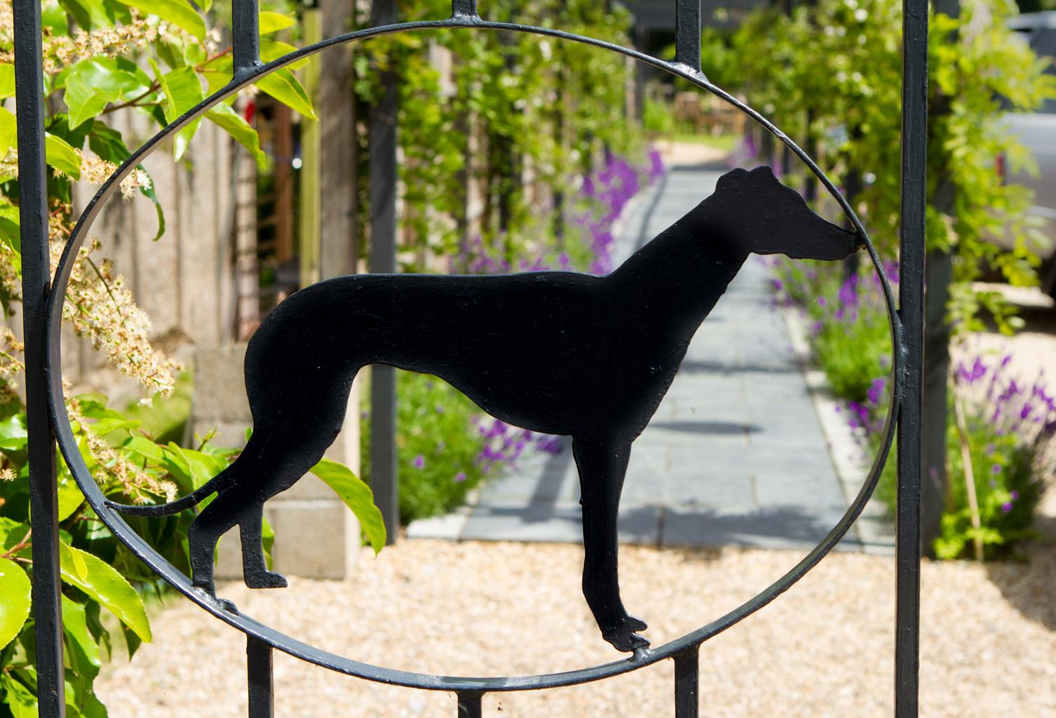 The Greyhound on the Test