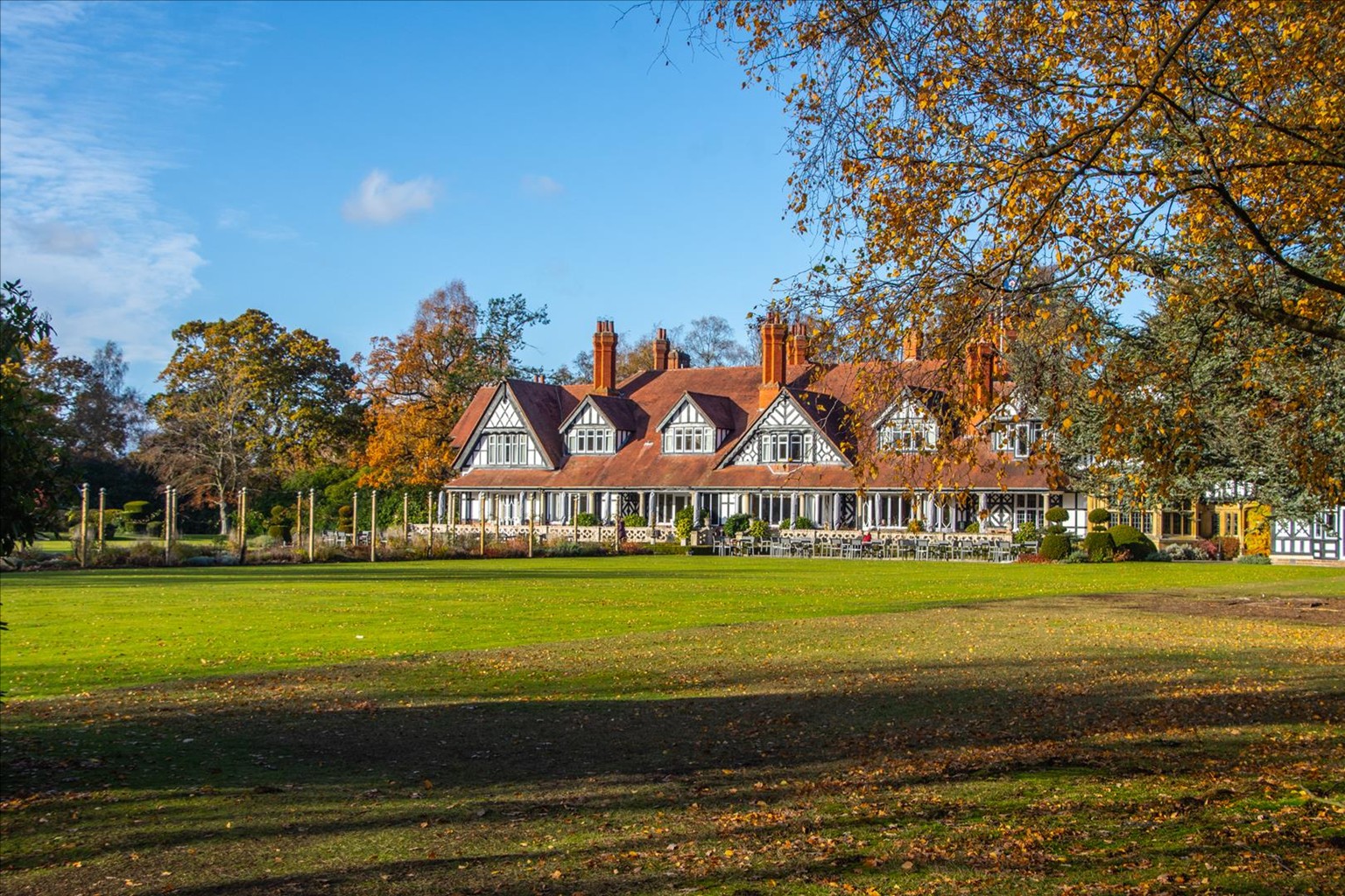 Petwood
