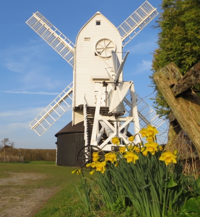 Jill Windmill