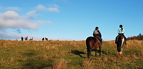 Boltby Trekking Centre