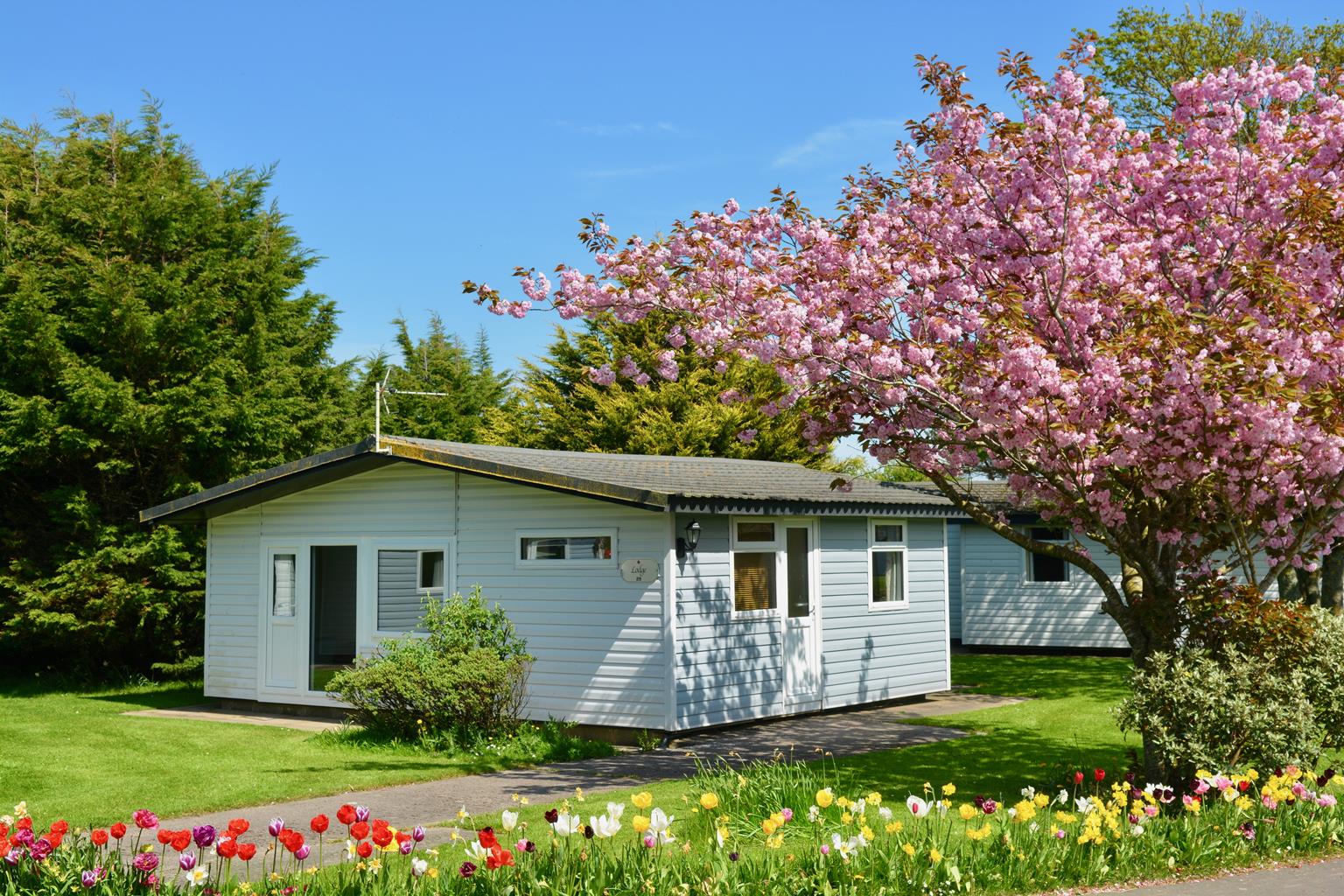 Solway Holiday Village