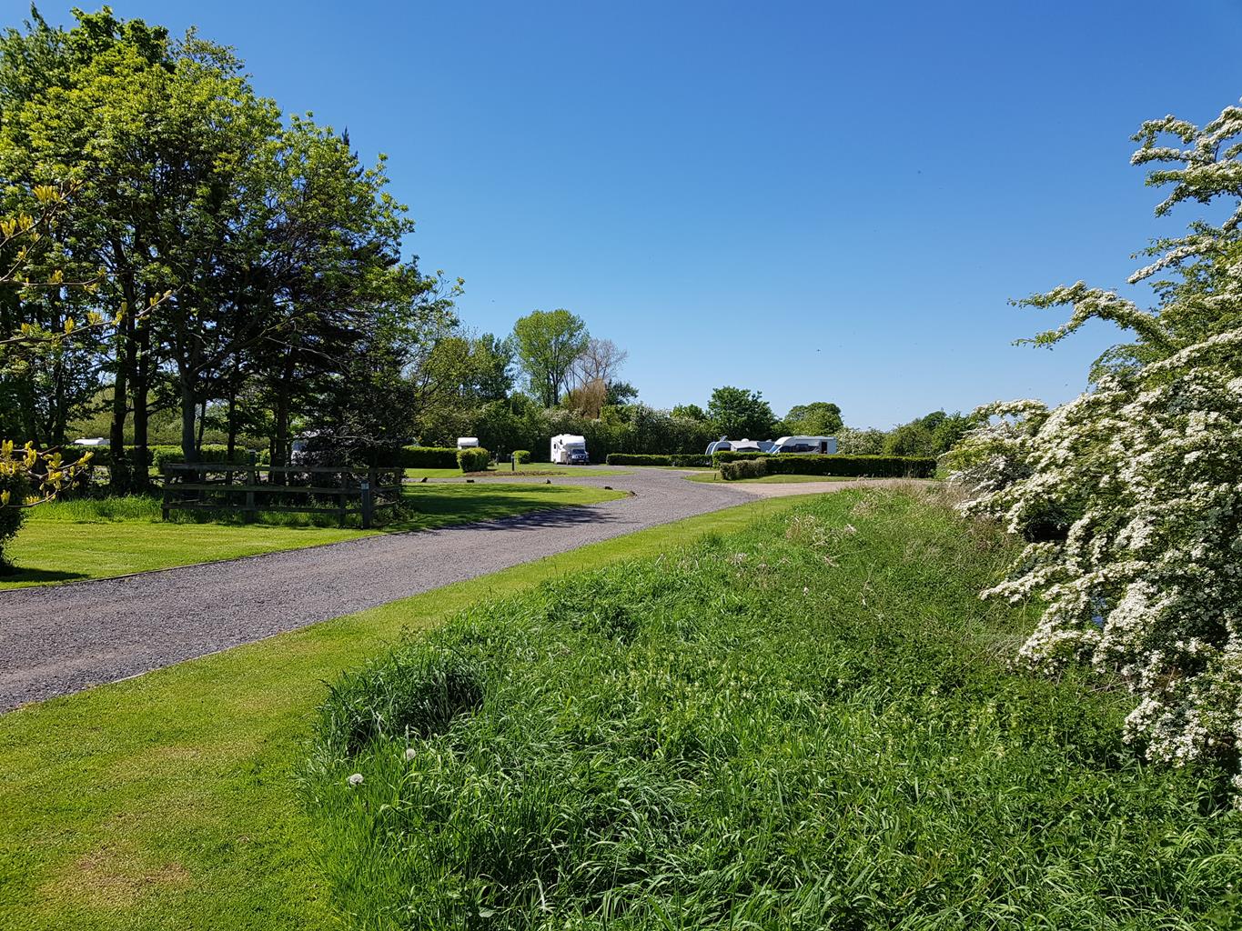 York Caravan Park