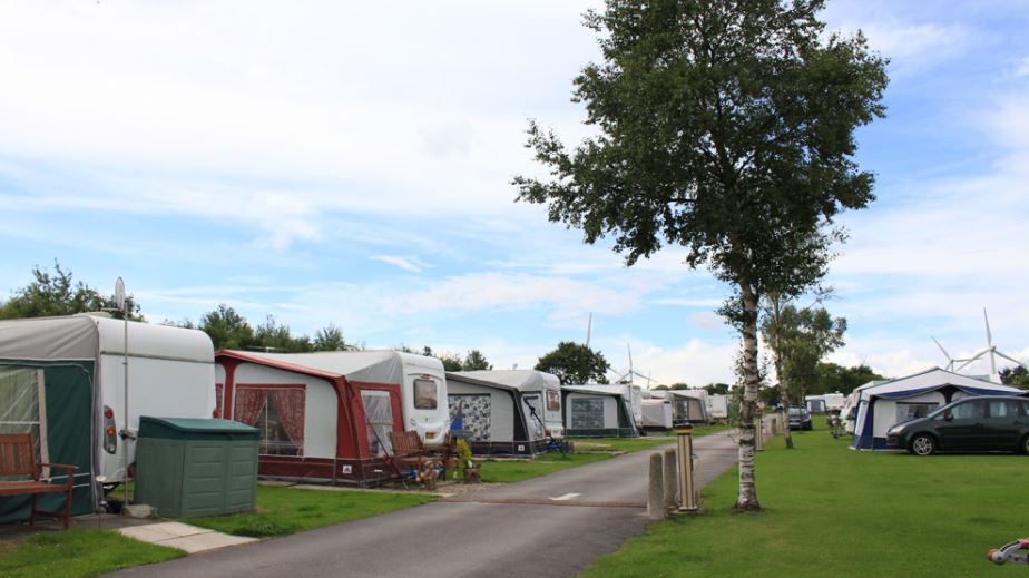 High Moor Farm Park