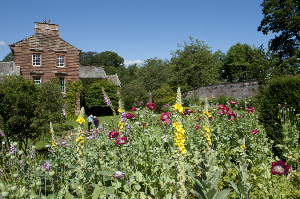 Acorn Bank Garden and Watermill