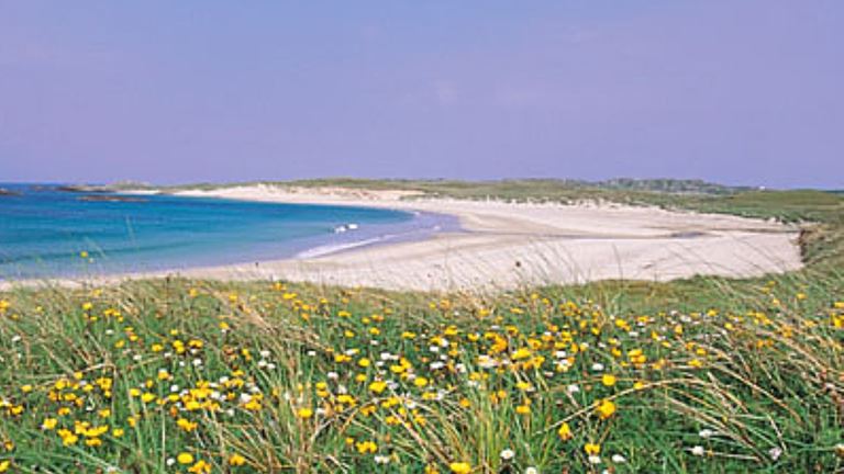 RSPB Coll