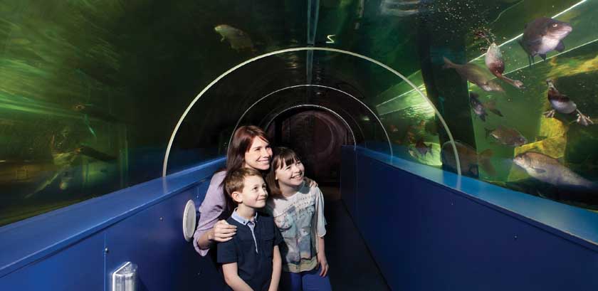 Lakes Aquarium