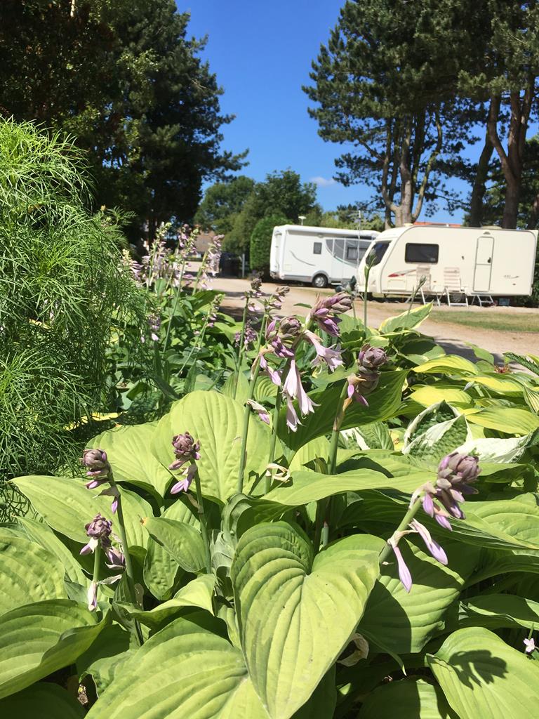 Overbrook Caravan Park