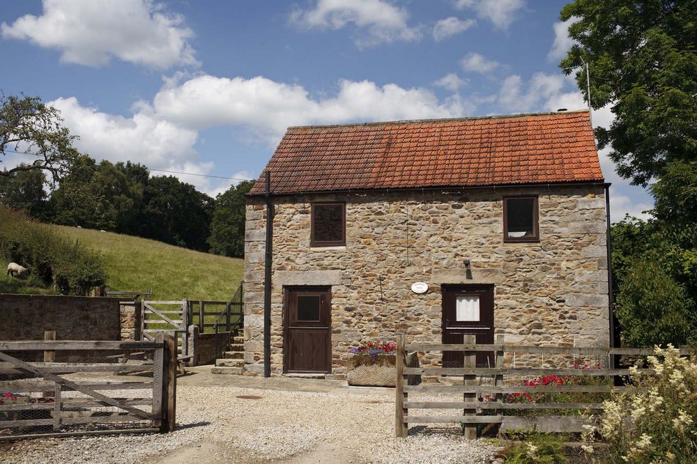 Surprise View Cottage