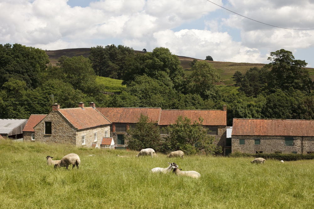 Field Barn Cottage