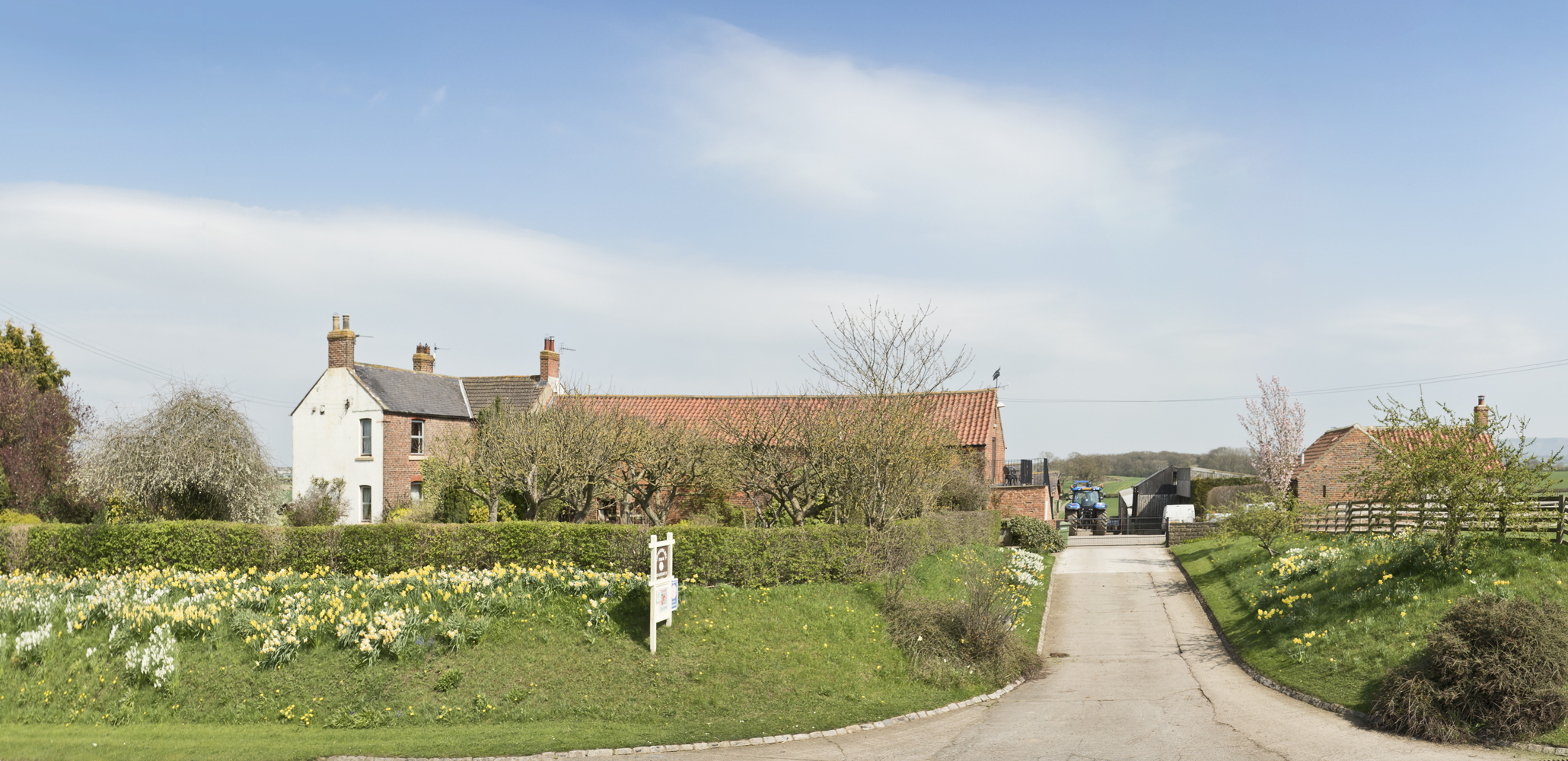 Lovesome Hill Farm