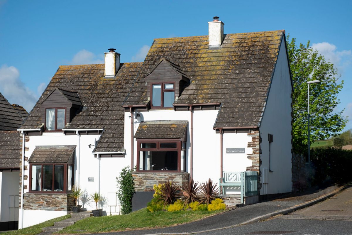 Oystercatchers House