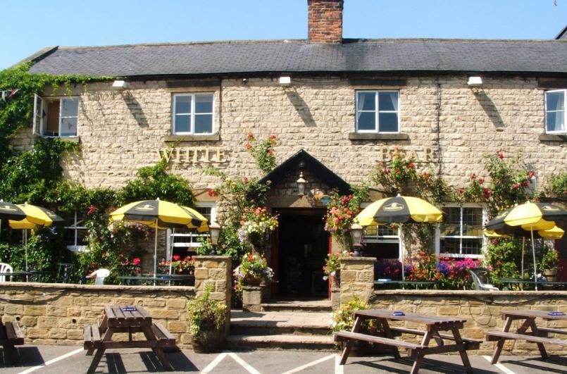 The White Bear
