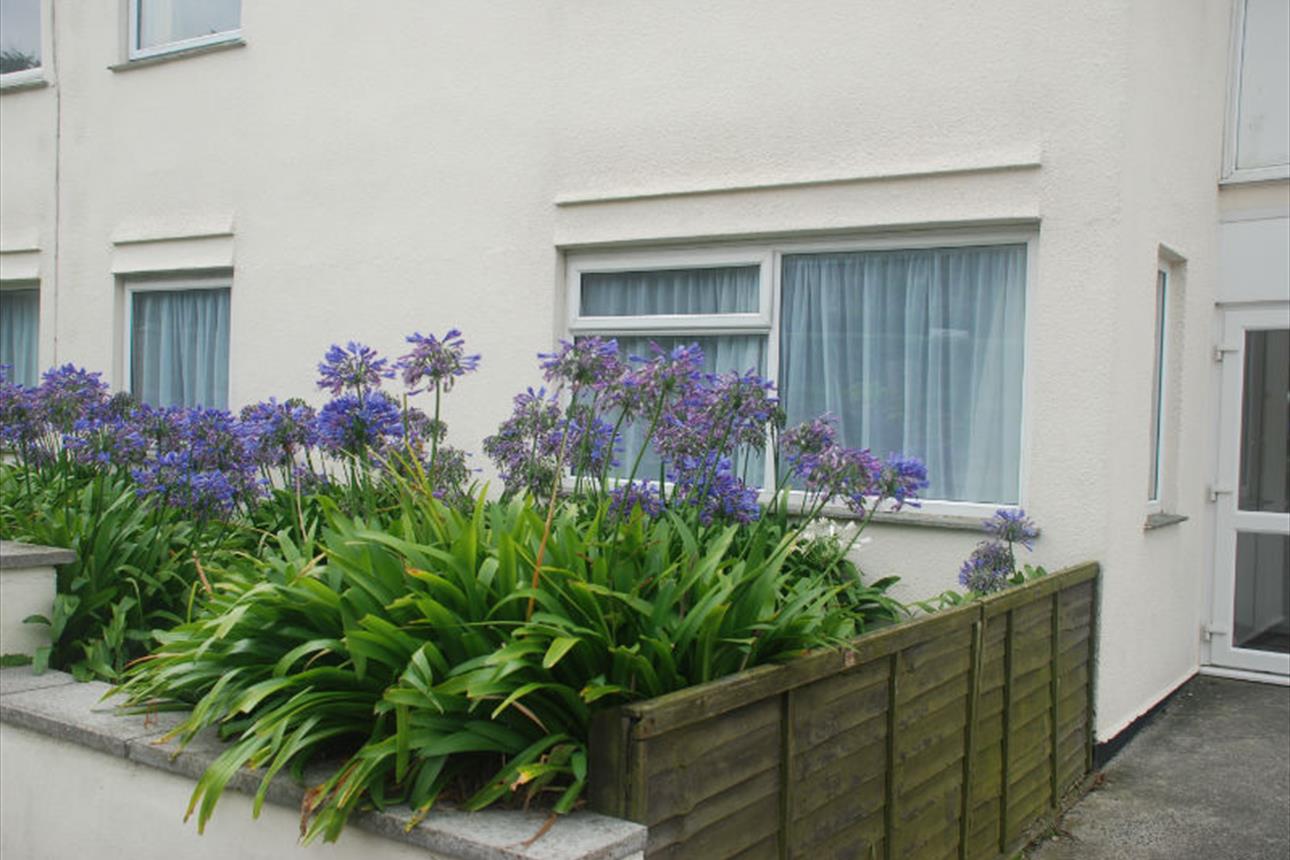 Oystercatcher Apartment