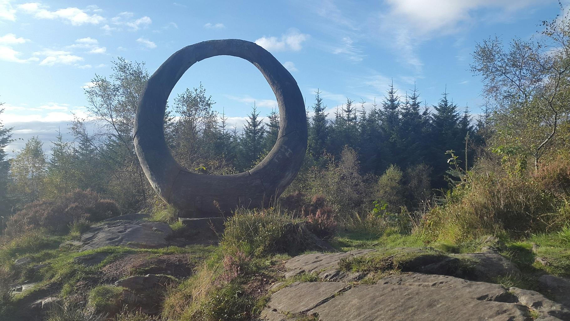 Grizedale Forest