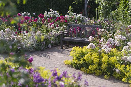 RHS Garden Rosemoor