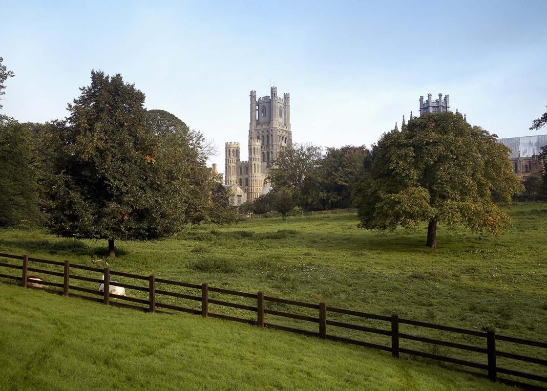 Image 1