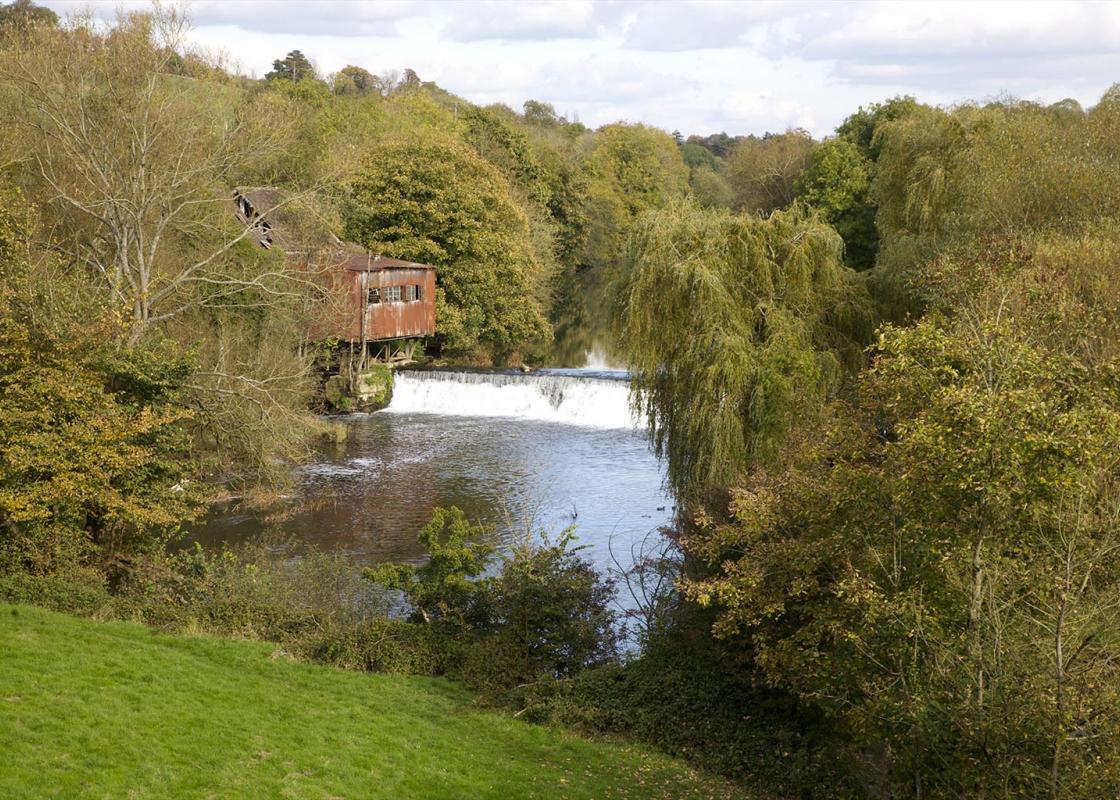 Image 1