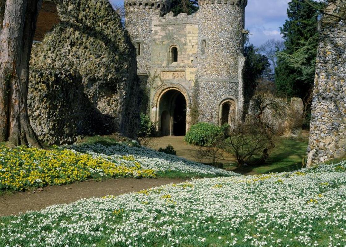 Image 1