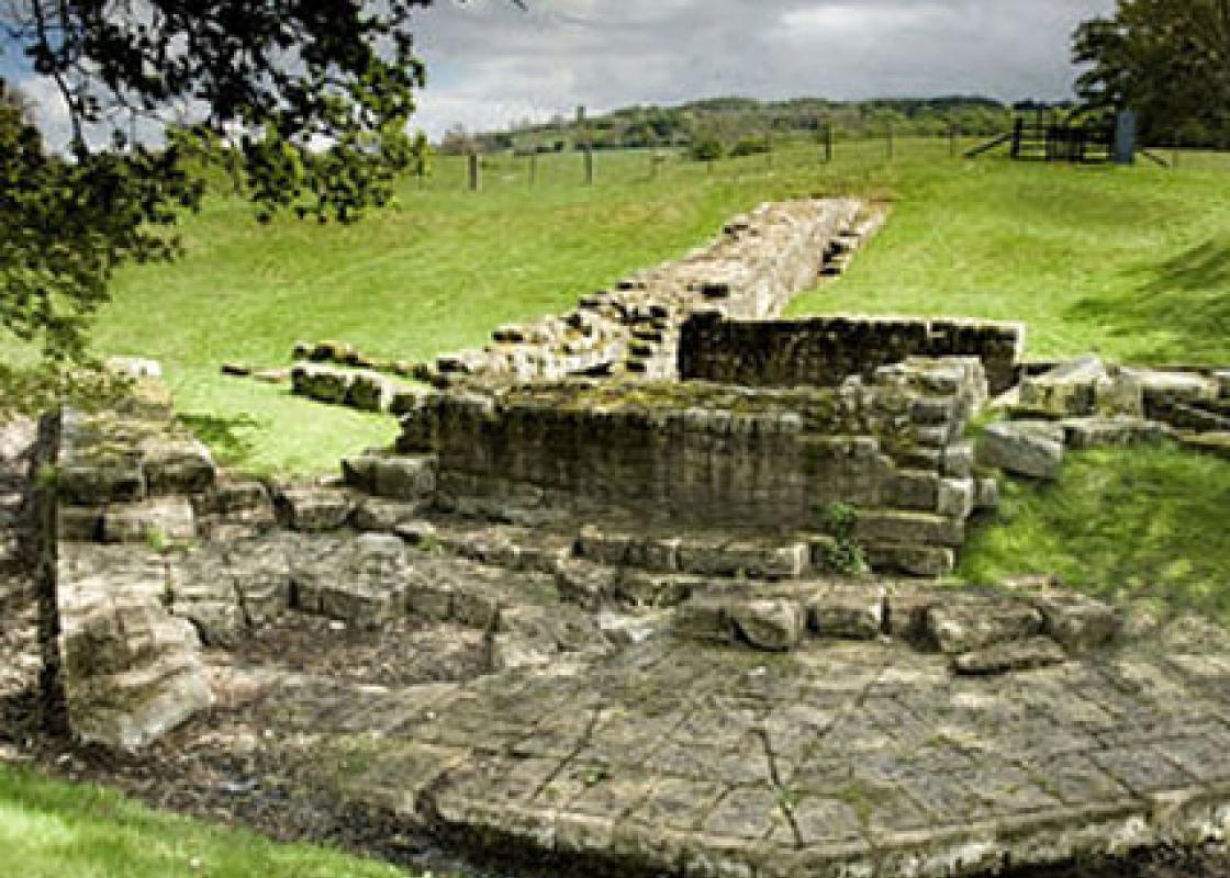 Image 1
