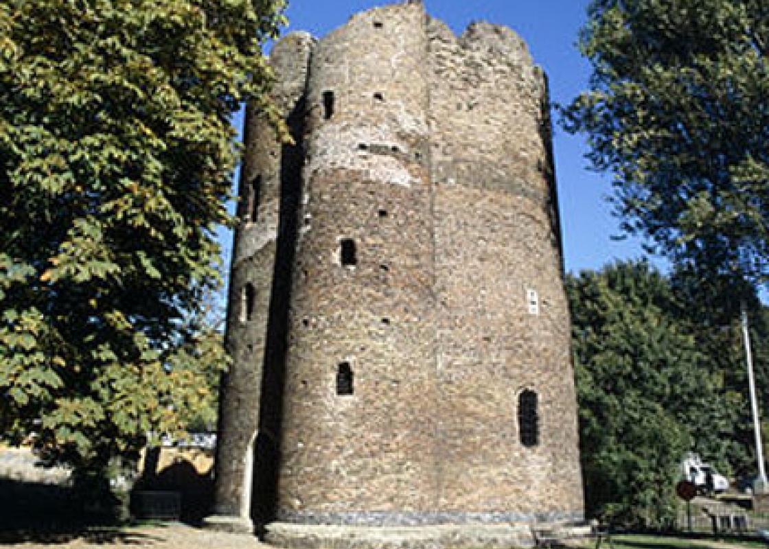 Image 1