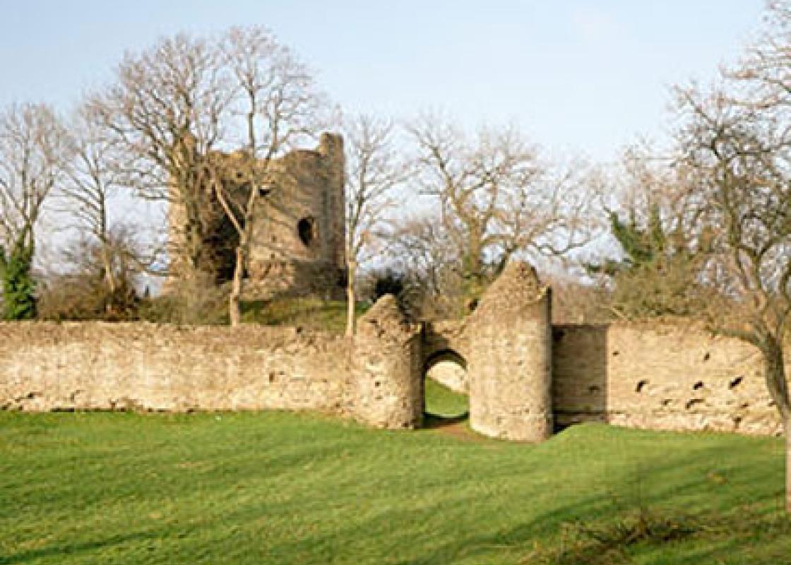 Image 1