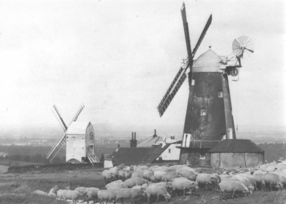 Image 1