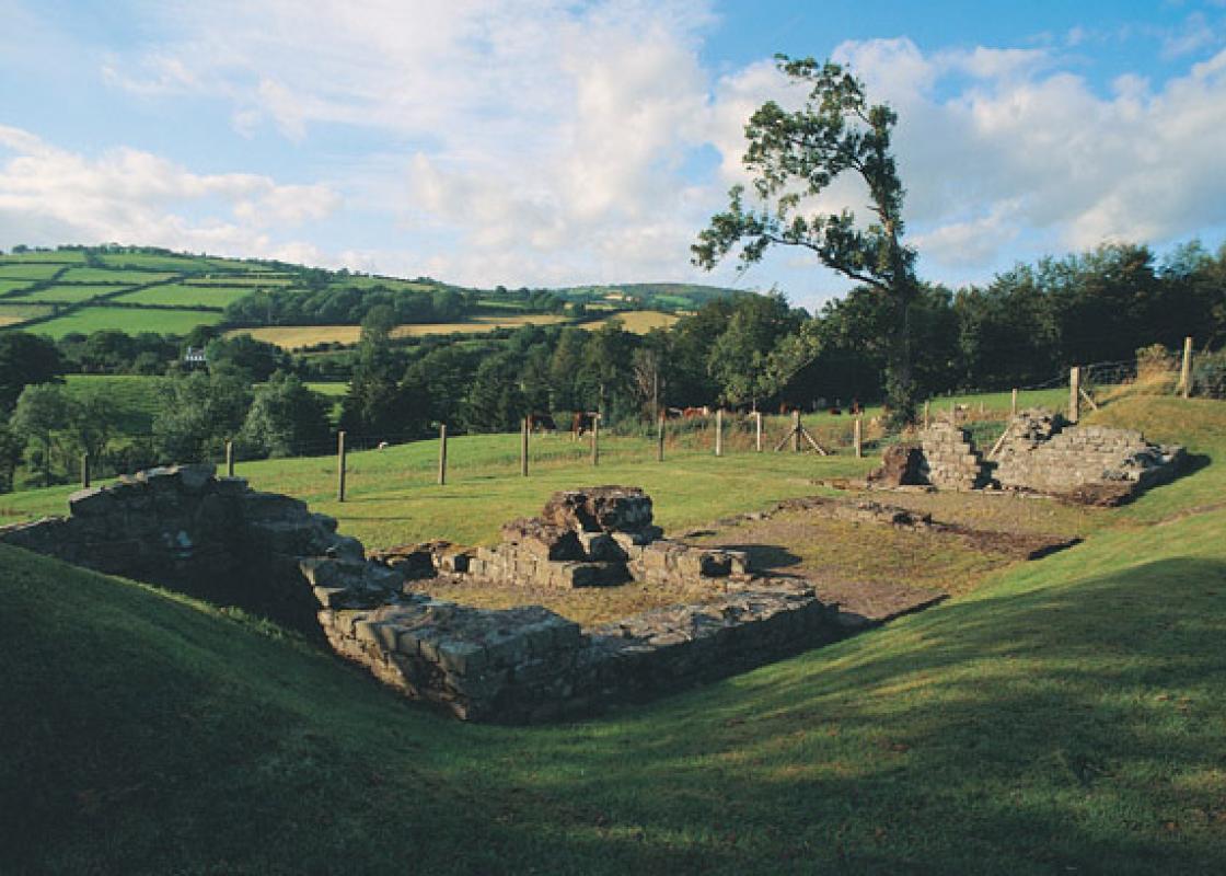 Image 1
