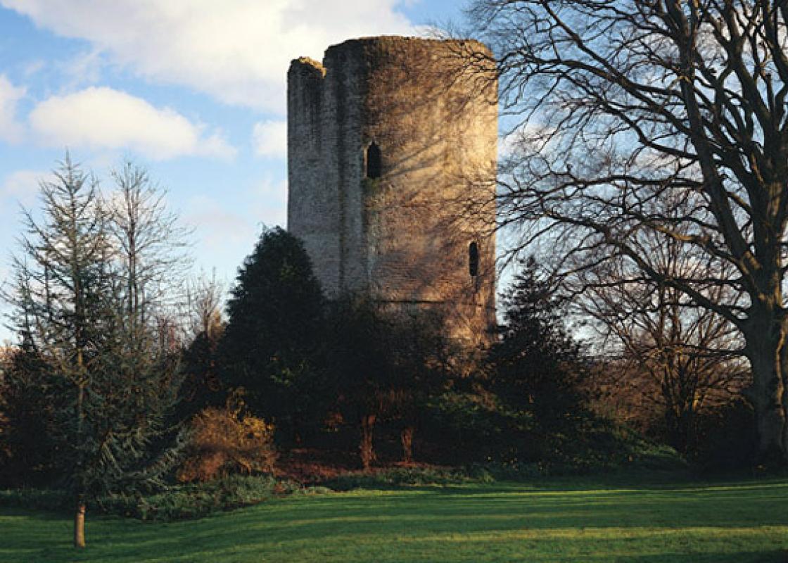Image 1