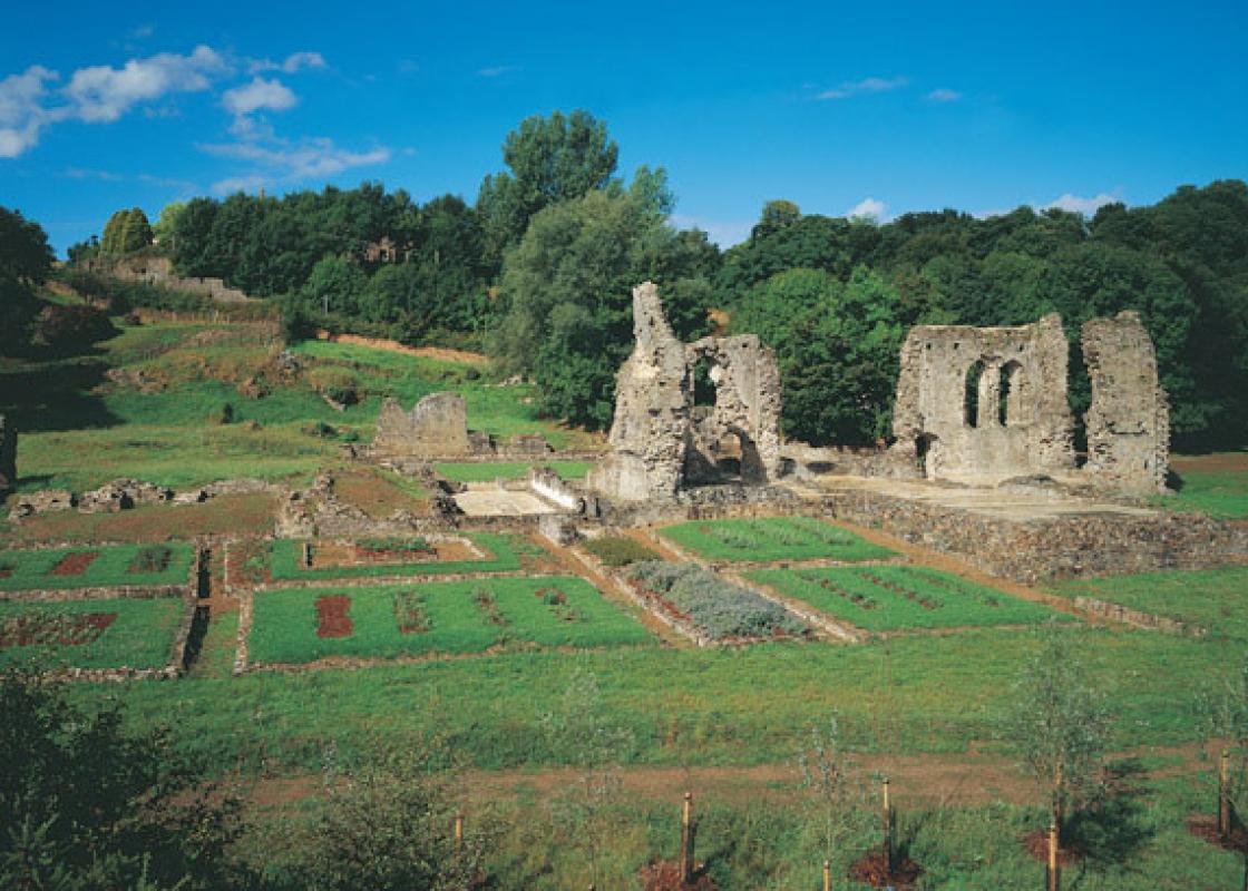 Image 1