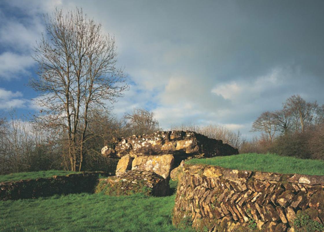 Image 1