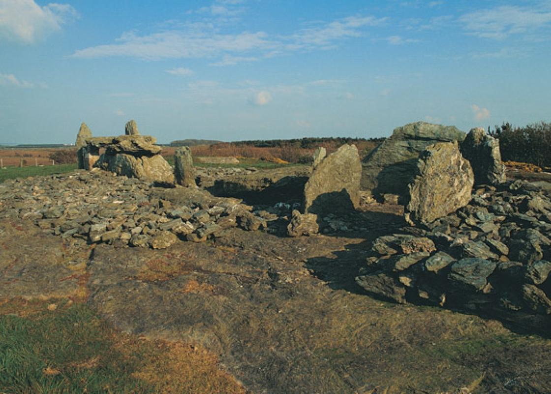 Image 1