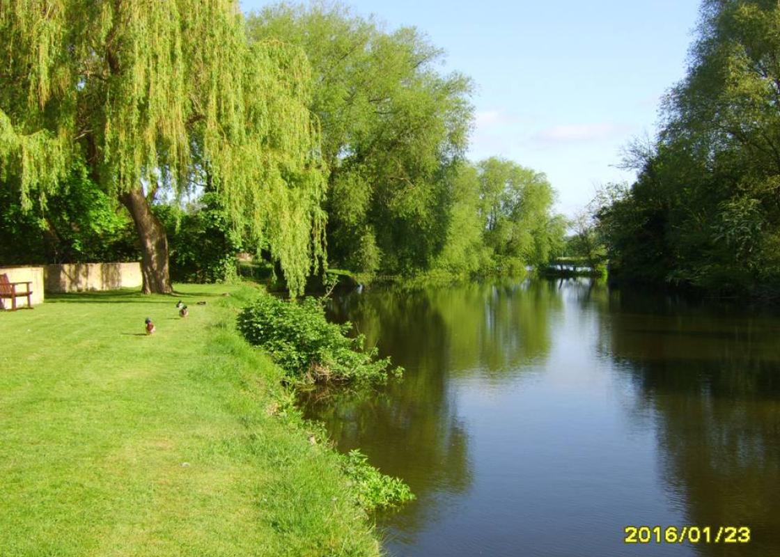 Image 1