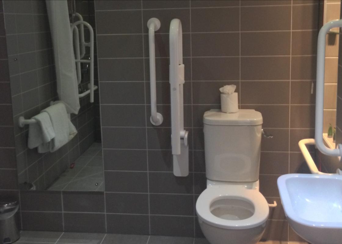 Accessibility Image 3