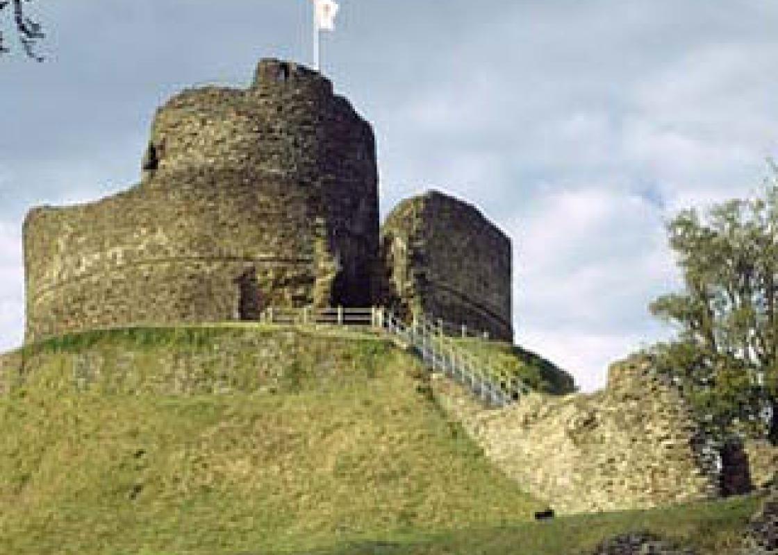 Image 1