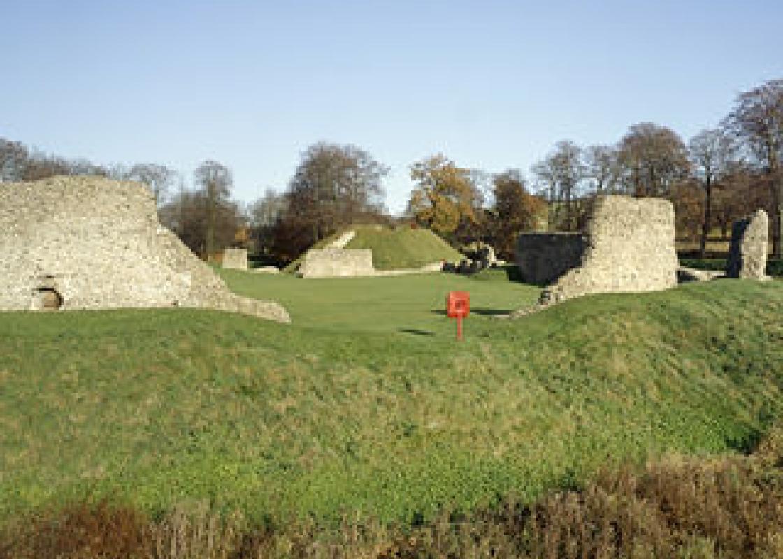 Image 1
