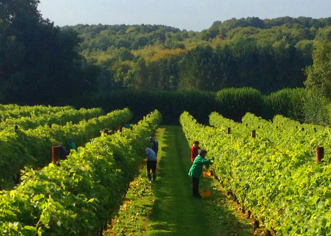 Image 1