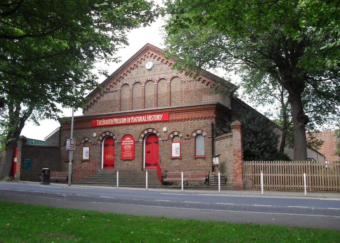 Image 1