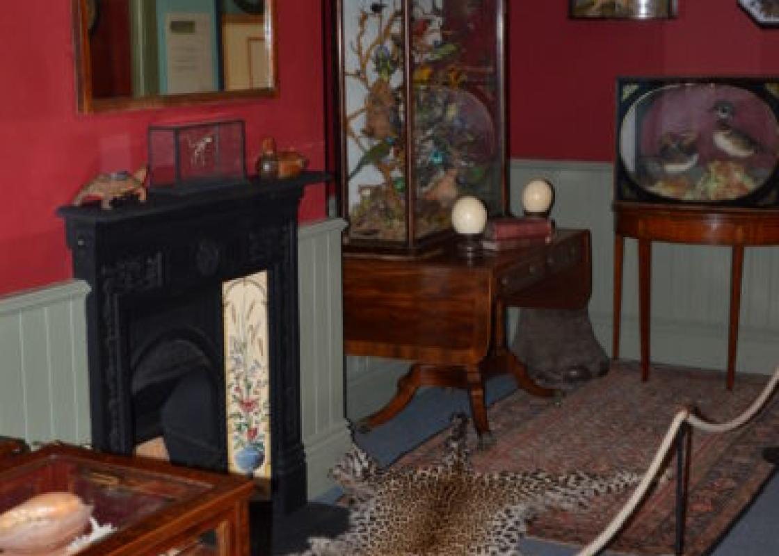 Image 1